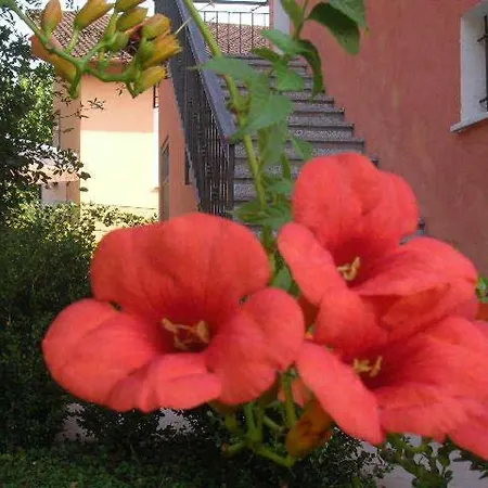 Ligo Bed & Breakfast Villanova d'Albenga