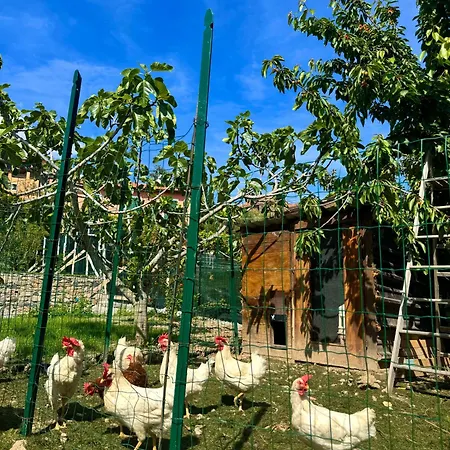 Ligo Bed & Breakfast Villanova d'Albenga