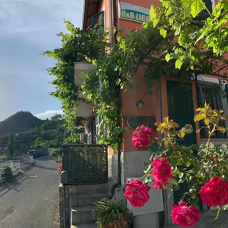 ベッド・アンド・ブレックファスト Ligo