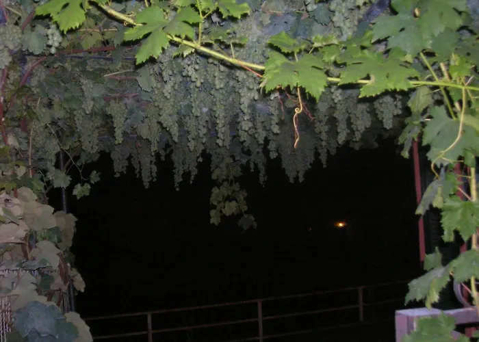 Ligo 3* Villanova d'Albenga