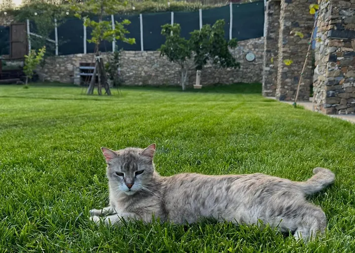 Bed and Breakfast Ligo